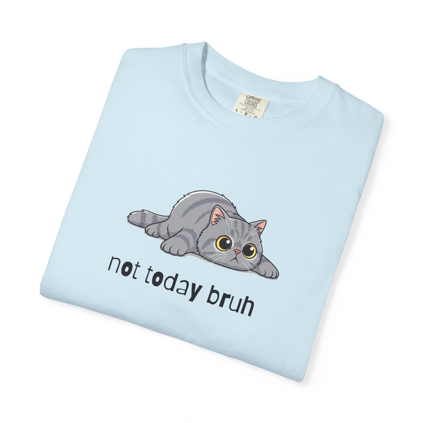 Persian Not Today Bruh T-Shirt