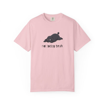 Poodle Not Today Bruh T-Shirt