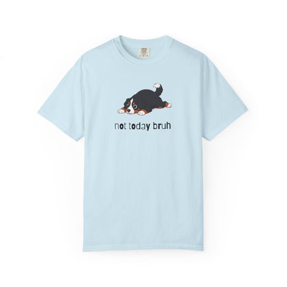 Berner Not Today Bruh T-Shirt