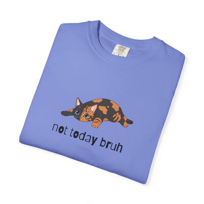 Short hair chimera cat Not Today Bruh T-Shirt