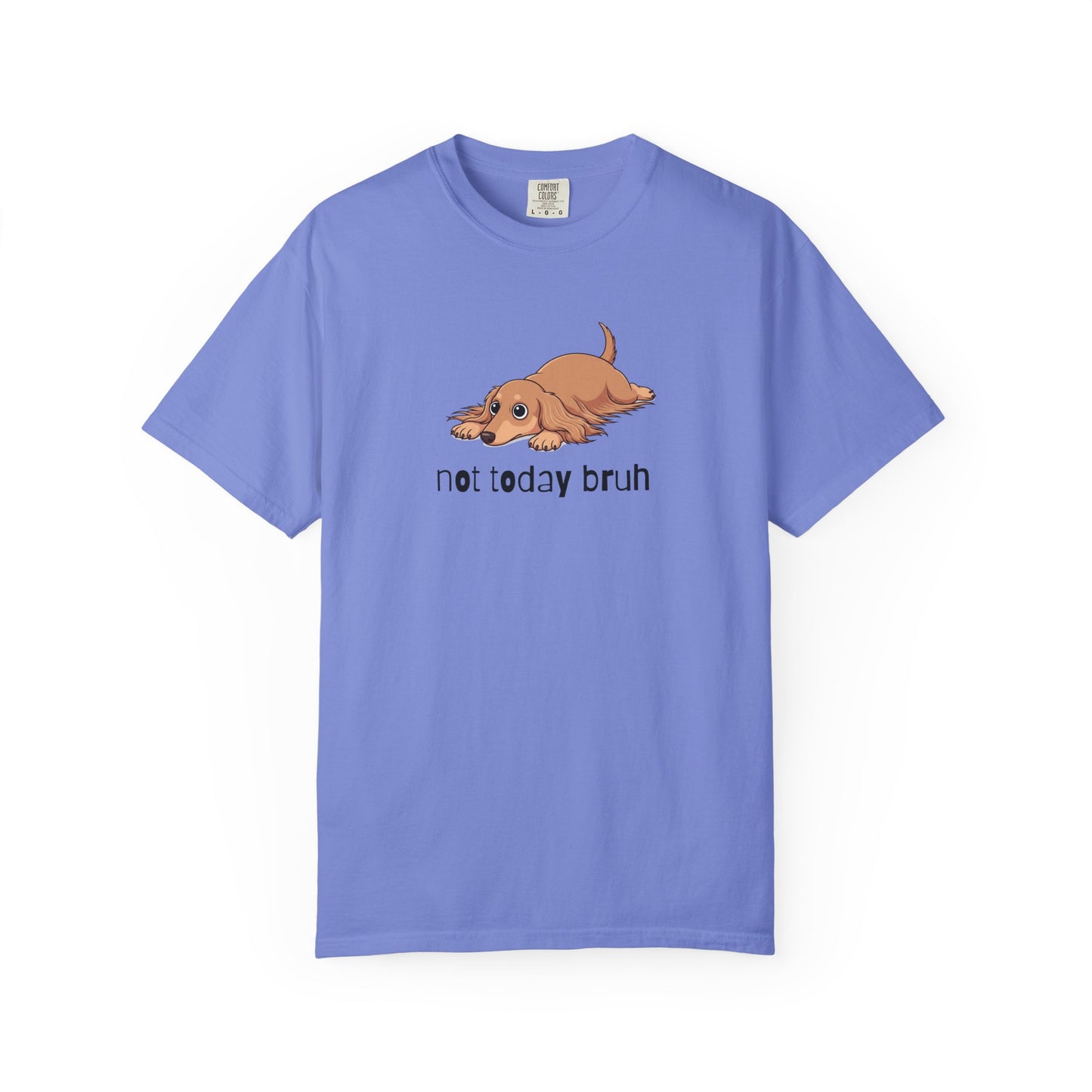 Dacshund Not Today Bruh T-Shirt