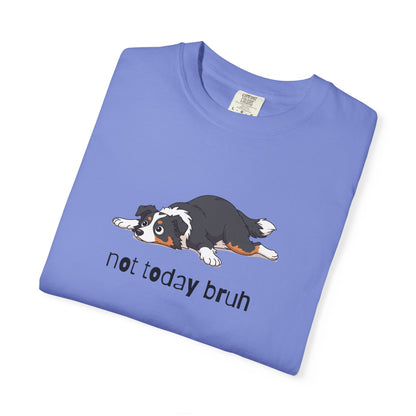 Border Collie Not Today Bruh T-Shirt