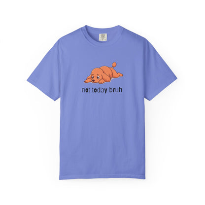 Poodle Not Today Bruh T-Shirt