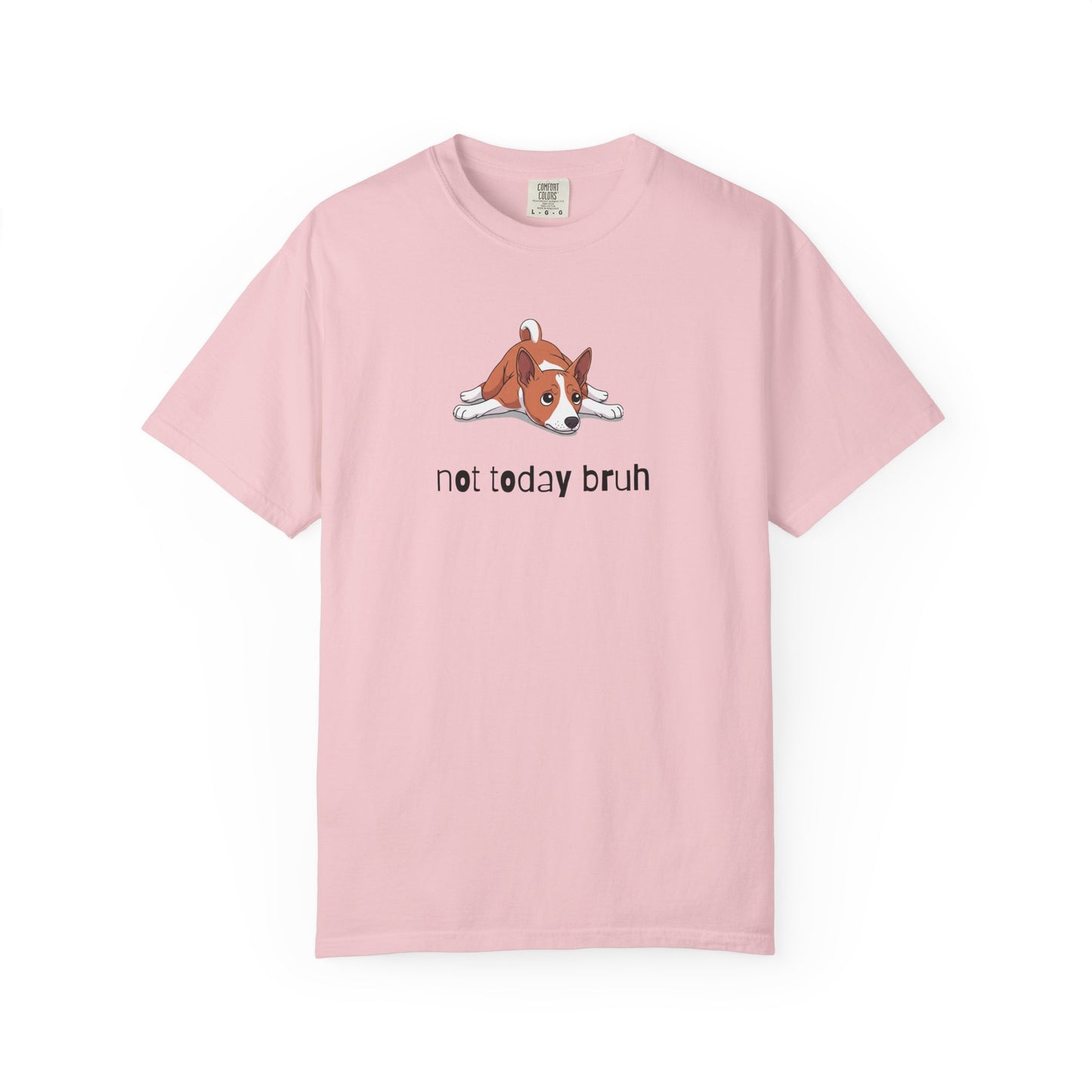 Basenji Not Today Bruh T-Shirt