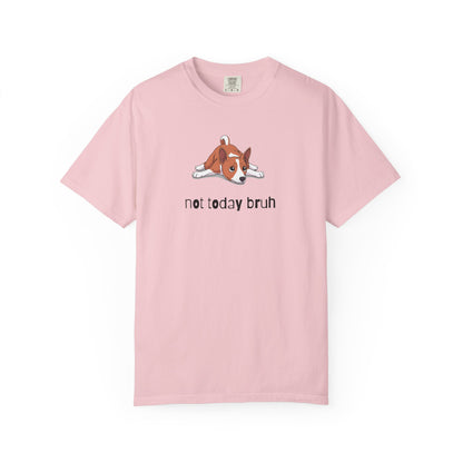 Basenji Not Today Bruh T-Shirt