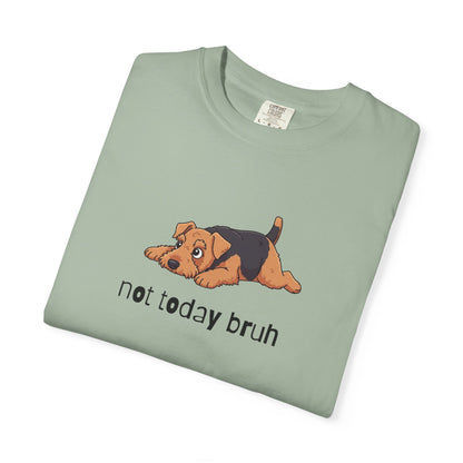 Welshie Not Today Bruh T-Shirt