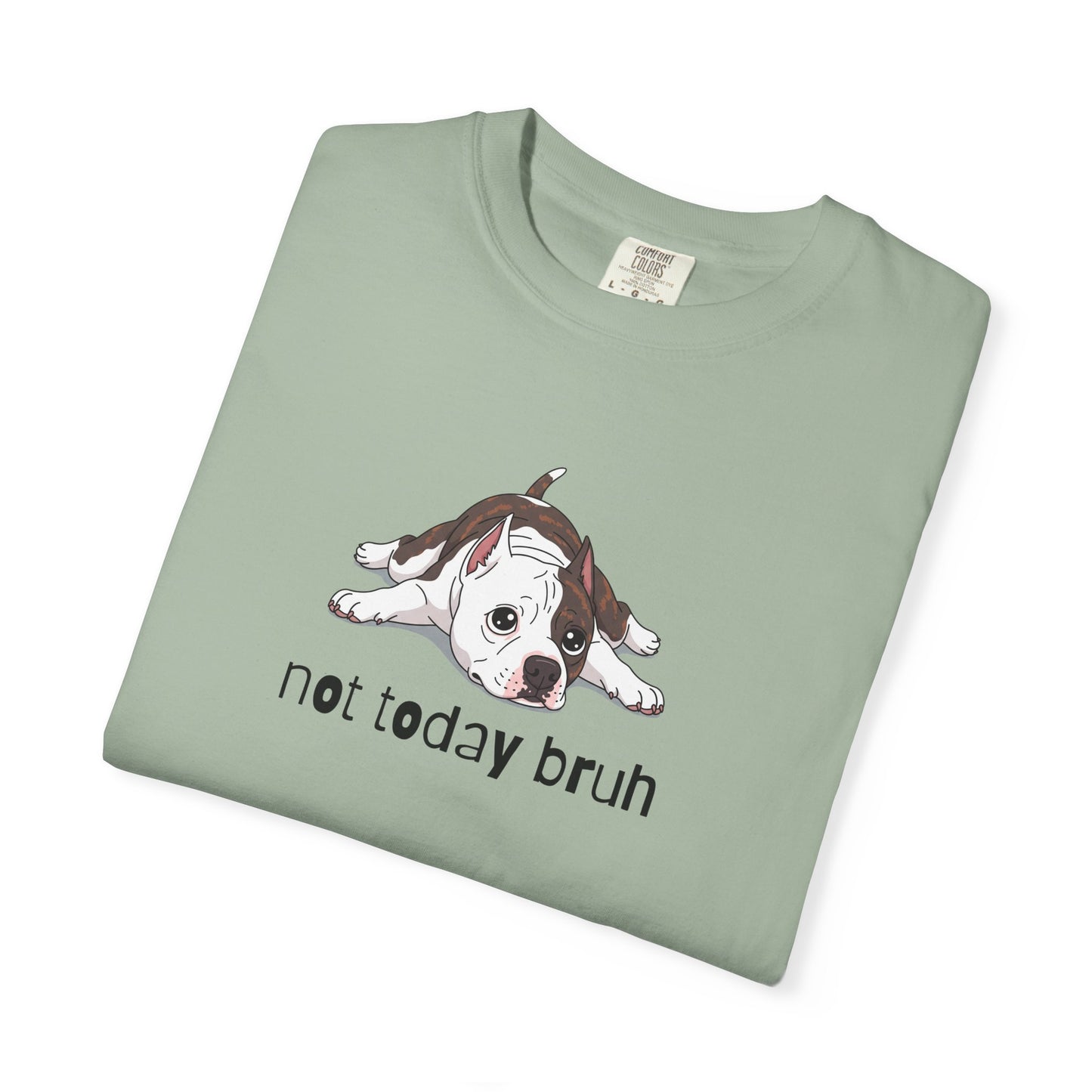 Staffy Not Today Bruh T-Shirt