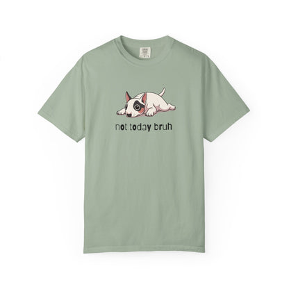 Bull Terrier Not Today Bruh T-Shirt