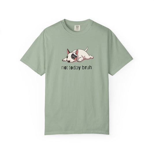 Bull Terrier Not Today Bruh T-Shirt