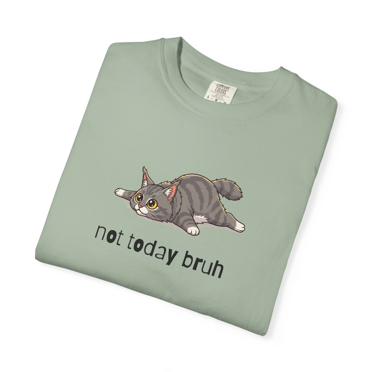 Maine Coon Not Today Bruh T-Shirt