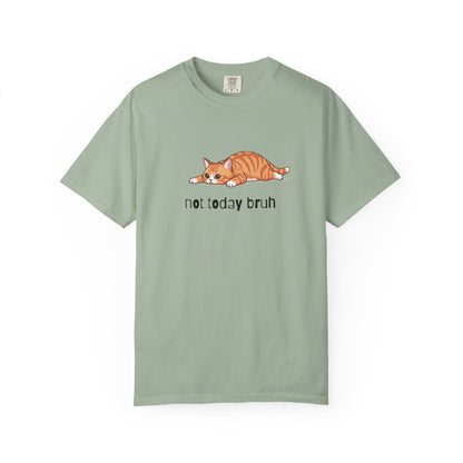 Short hair bi-color orange cat Not Today Bruh T-Shirt