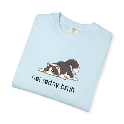 Long hair tuxedo cat Not Today Bruh T-Shirt