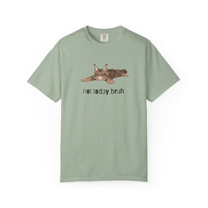 Maine Coon Not Today Bruh T-Shirt