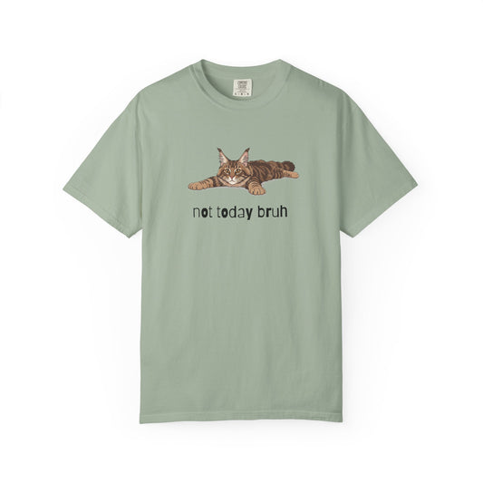 Maine Coon Not Today Bruh T-Shirt