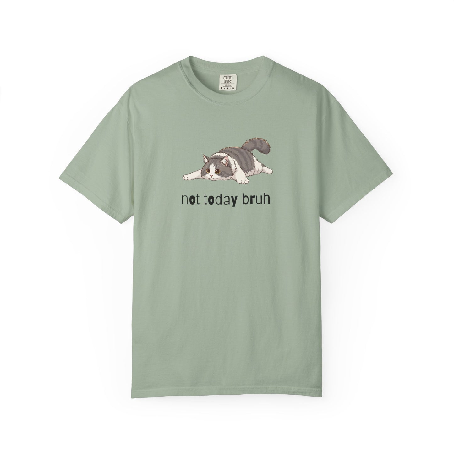 Long hair bi-color gray cat Not Today Bruh T-Shirt