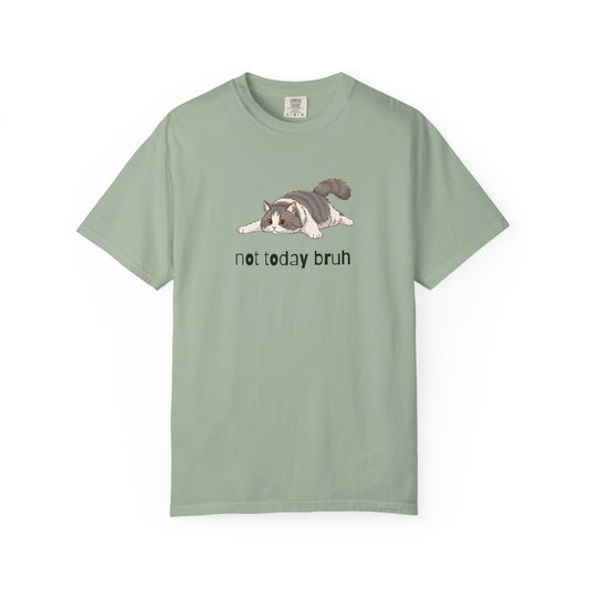 Long hair bi-color gray cat Not Today Bruh T-Shirt