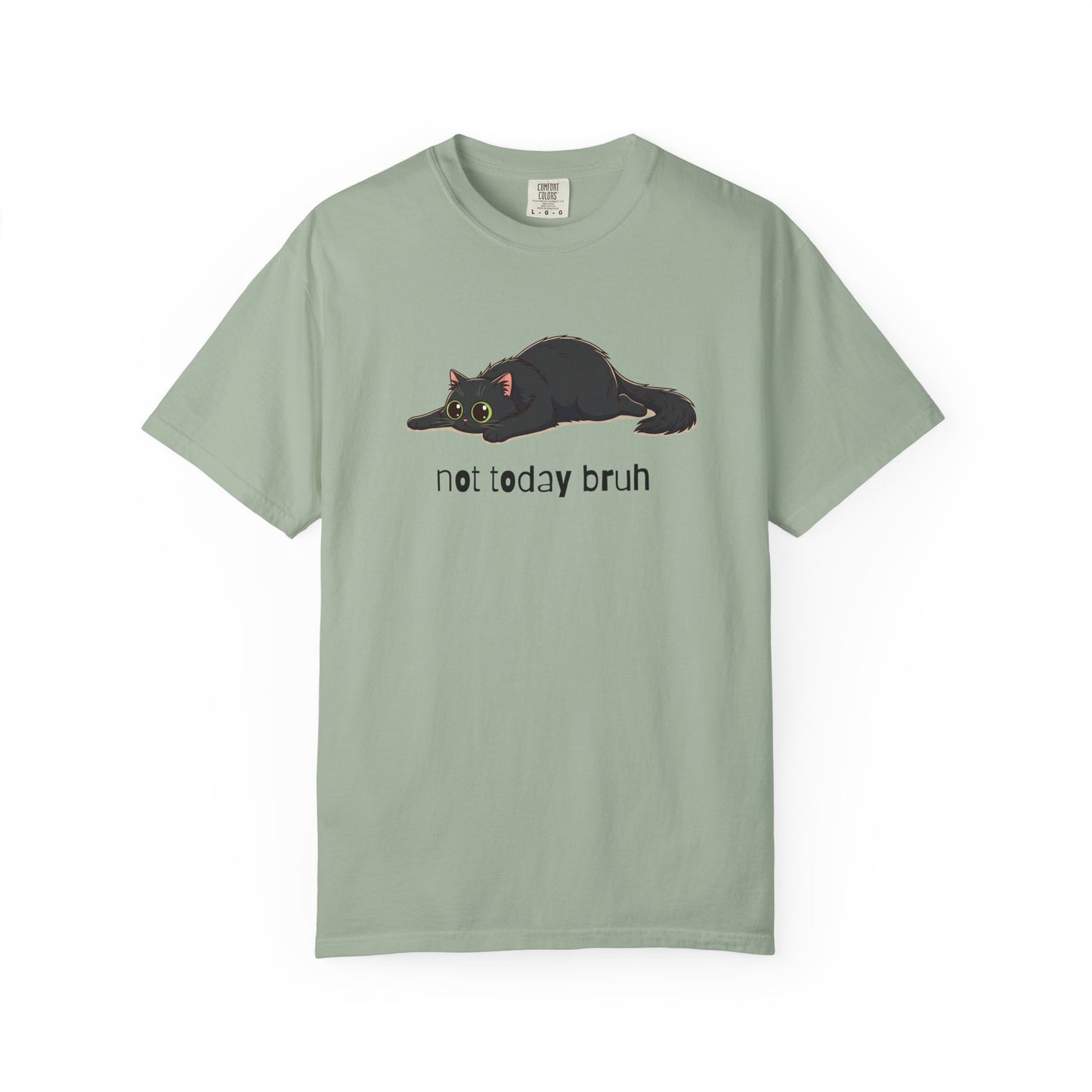 Long hair black cat Not Today Bruh T-Shirt