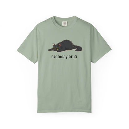 Long hair black cat Not Today Bruh T-Shirt