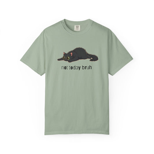 Long hair black cat Not Today Bruh T-Shirt