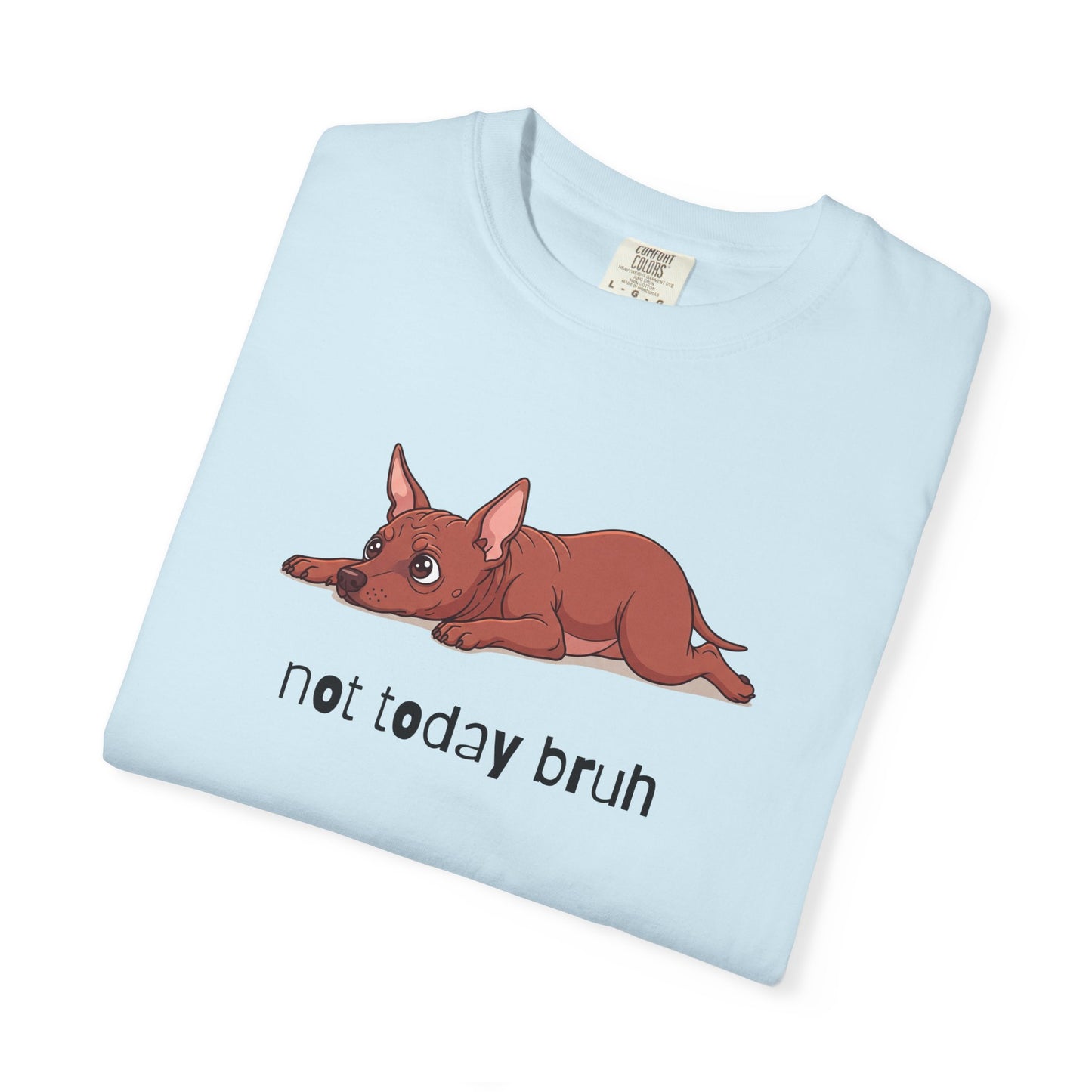 Hairless Dog Not Today Bruh T-Shirt