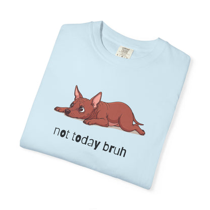 Hairless Dog Not Today Bruh T-Shirt