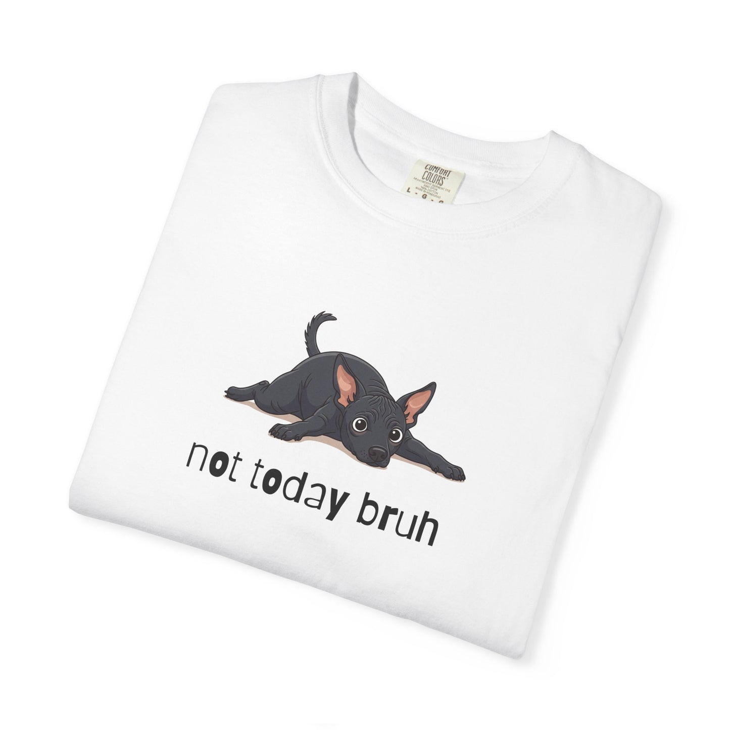 Hairless Dog Not Today Bruh T-Shirt