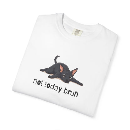 Hairless Dog Not Today Bruh T-Shirt