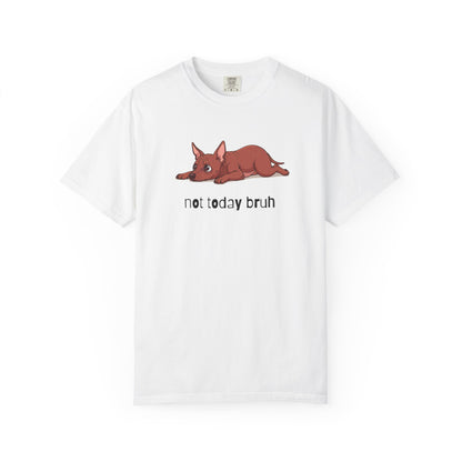 Hairless Dog Not Today Bruh T-Shirt