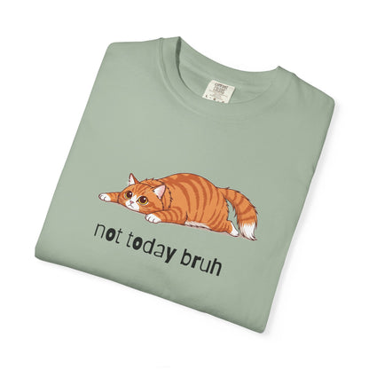 Long hair orange cat Not Today Bruh T-Shirt