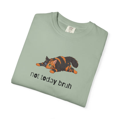 Long hair chimera cat Not Today Bruh T-Shirt