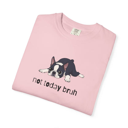 Boston Terrier Not Today Bruh T-Shirt