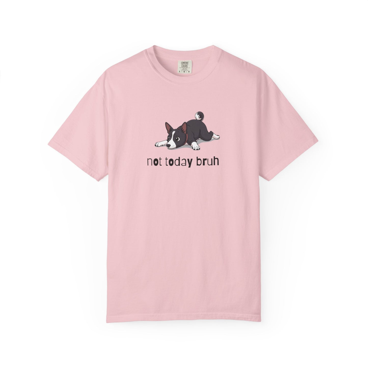 Basenji Not Today Bruh T-Shirt