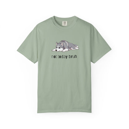 Husky Not Today Bruh T-Shirt