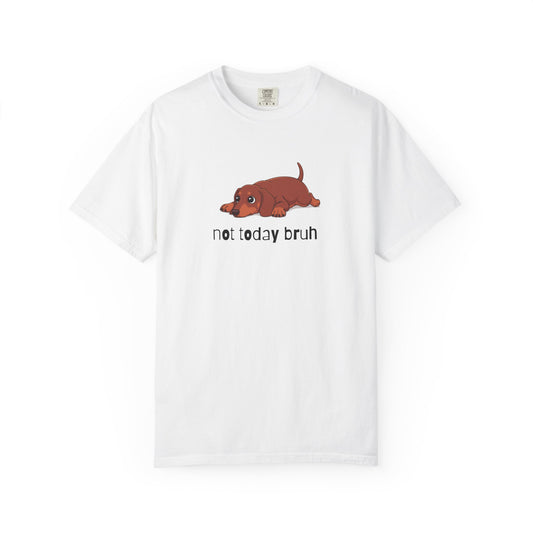 Dacshund Not Today Bruh T-Shirt