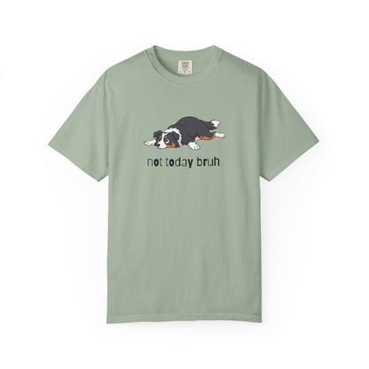 Border Collie Not Today Bruh T-Shirt