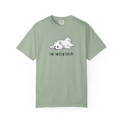 Samoyed Not Today Bruh T-Shirt