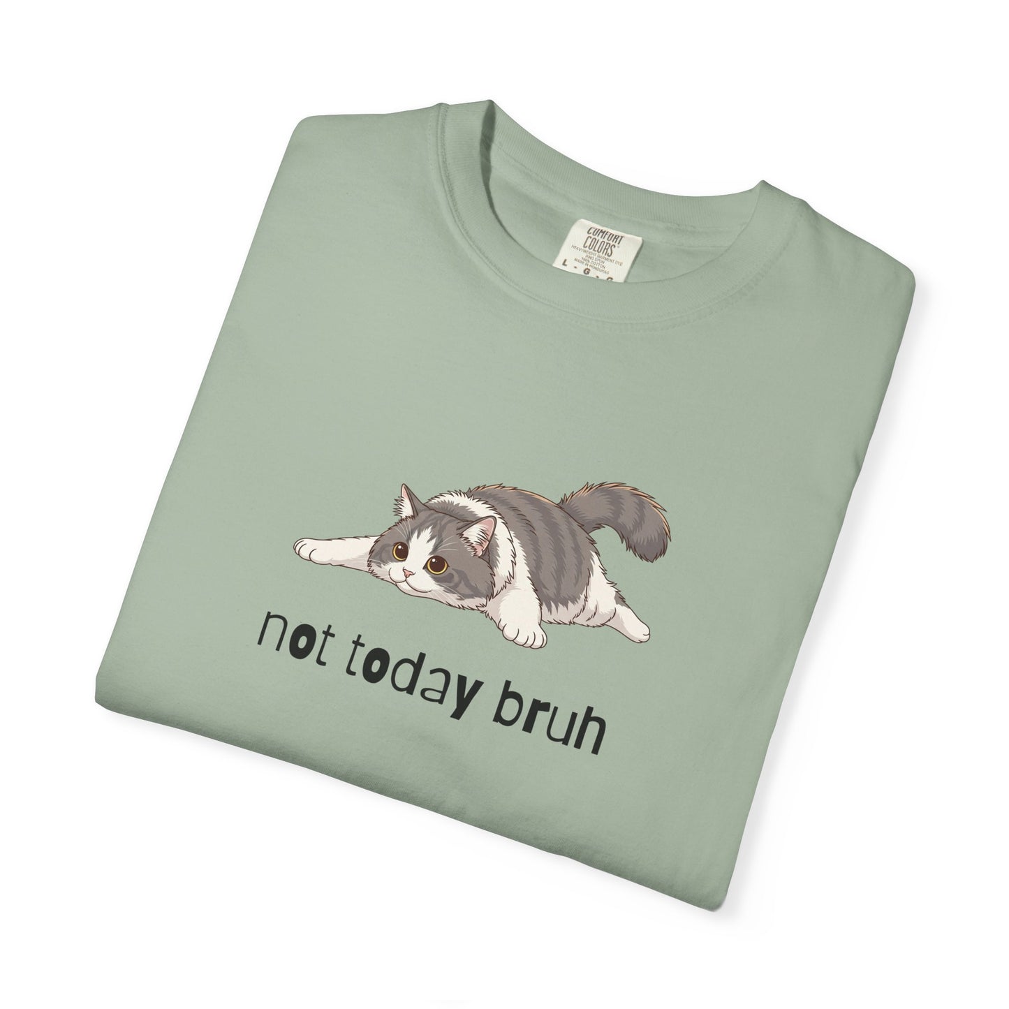 Long hair bi-color gray cat Not Today Bruh T-Shirt