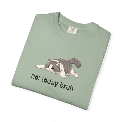 Long hair bi-color gray cat Not Today Bruh T-Shirt