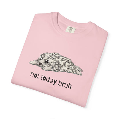 Komondor Not Today Bruh T-Shirt