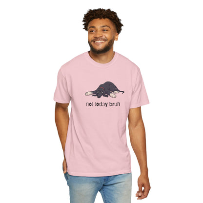 Afghan Hound Not Today Bruh T-Shirt