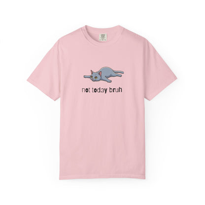 Short hair gray cat Not Today Bruh T-Shirt
