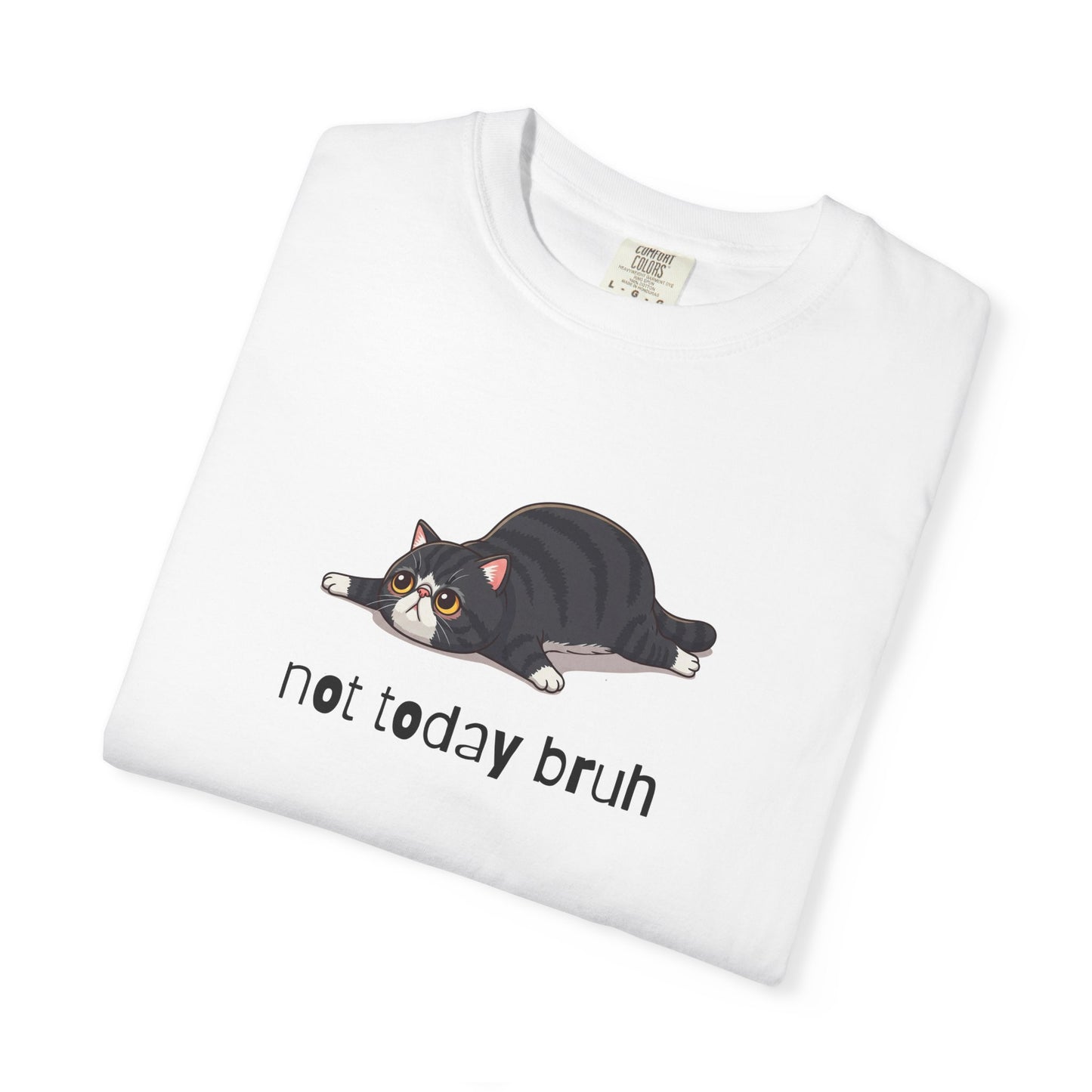Exotic Shorthair Not Today Bruh T-Shirt