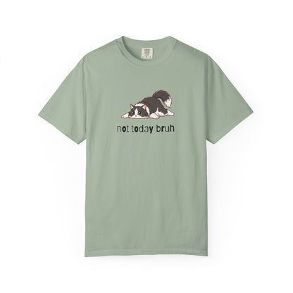 Long hair tuxedo cat Not Today Bruh T-Shirt