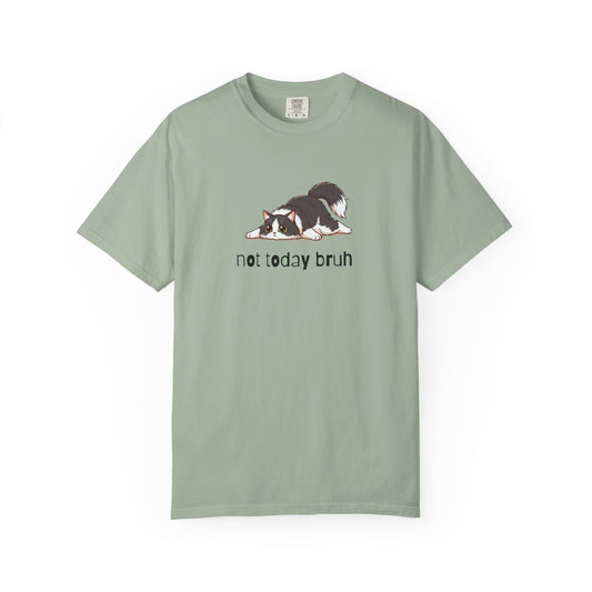 Long hair tuxedo cat Not Today Bruh T-Shirt