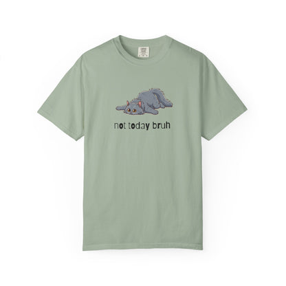 Long hair gray cat Not Today Bruh T-Shirt