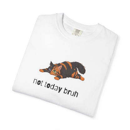 Long hair chimera cat Not Today Bruh T-Shirt