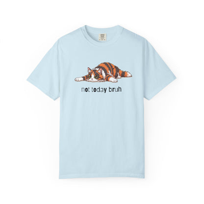Long hair tortoiseshell cat Not Today Bruh T-Shirt