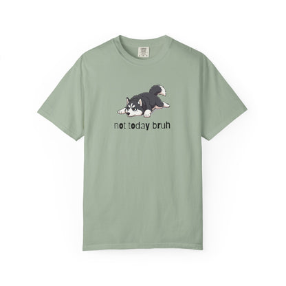 Husky Not Today Bruh T-Shirt