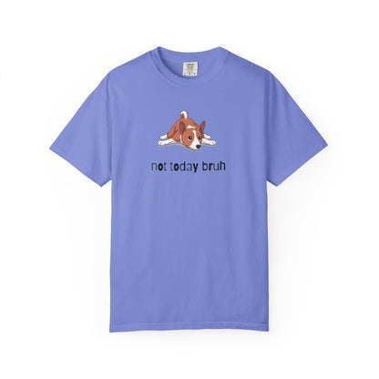 Basenji Not Today Bruh T-Shirt