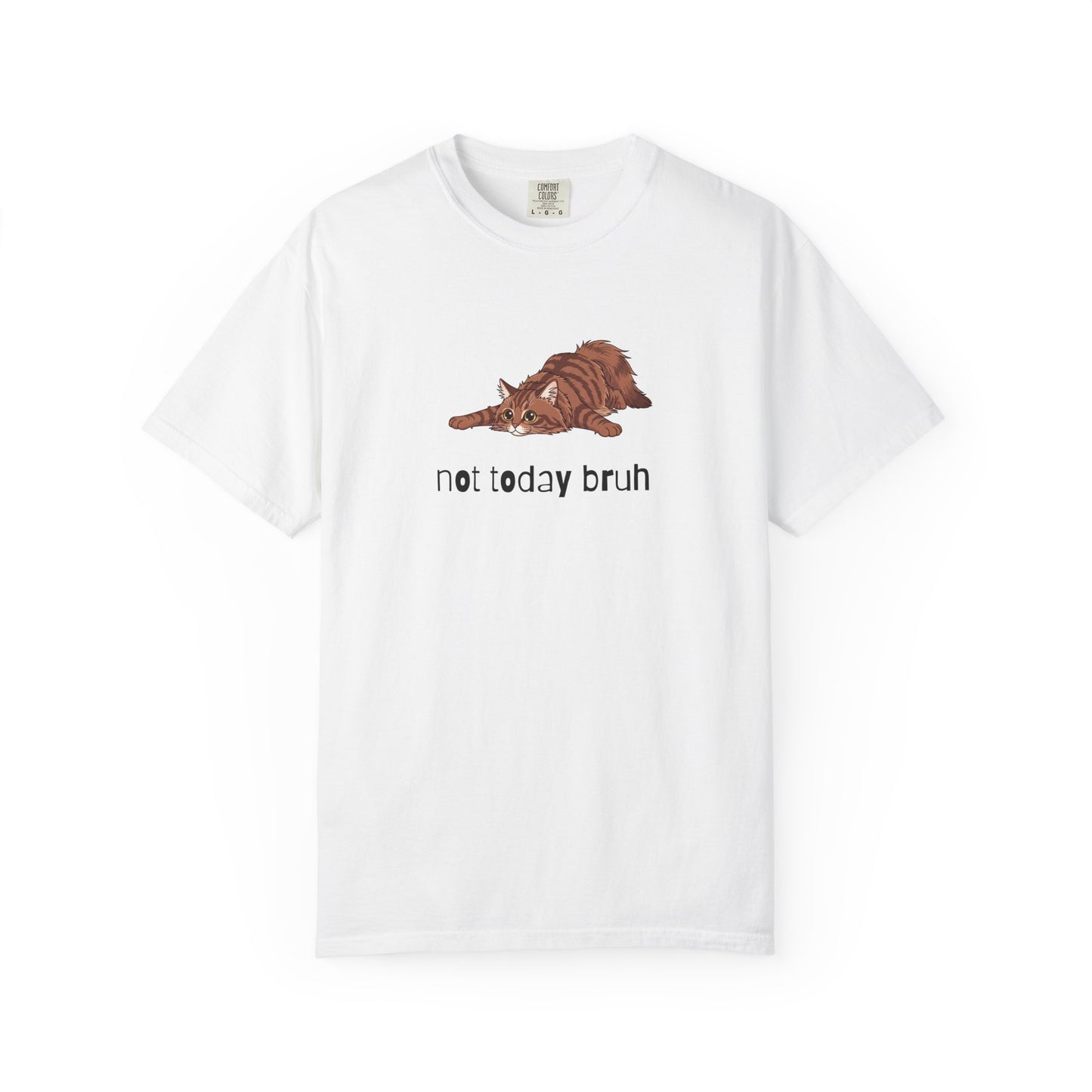 Long hair brown tabby cat Not Today Bruh T-Shirt
